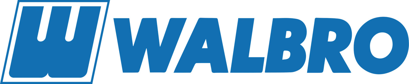 Walbro Check Valve Nozzle Kit | 86-523