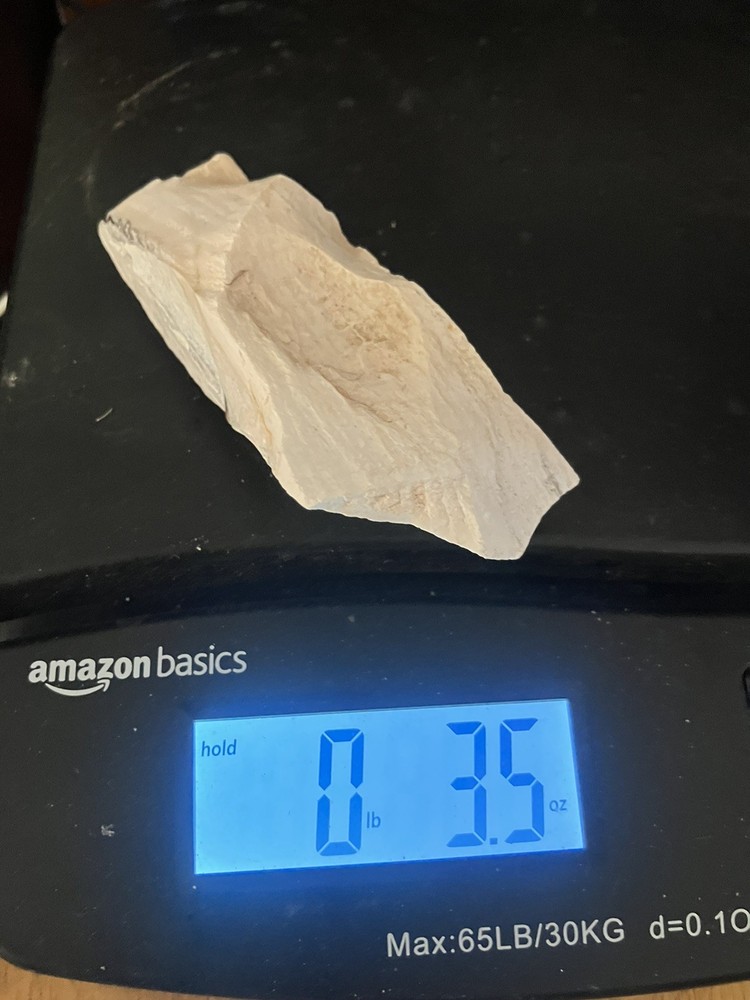 Opalized Petrified Wood