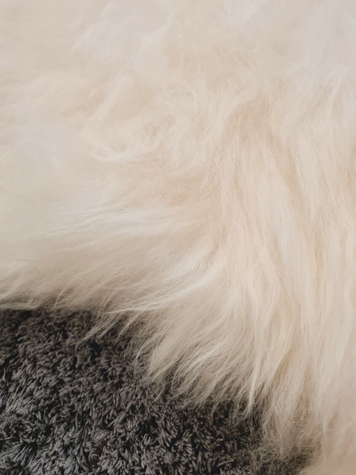 Ivory Real Sheepskin Rugs Fluffy Fur Sofa Couch Mats Soft Skin Fur Car Seat Pads