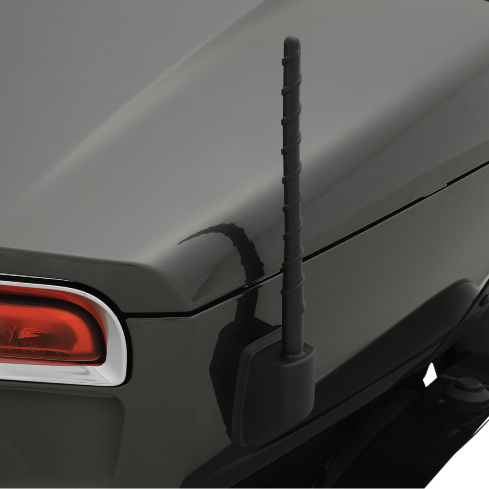 Show Chrome Spiral Antenna | 41-180