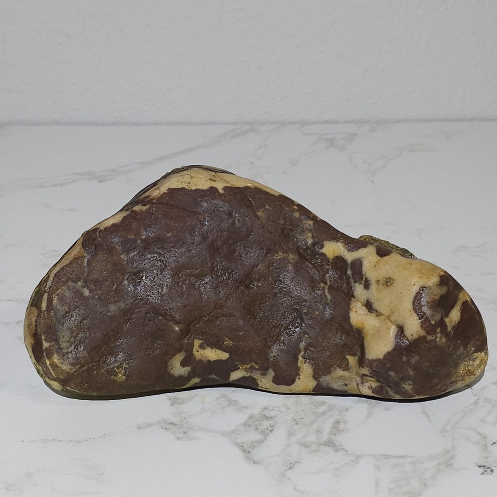 Plume Jasper Large Natural Stone Brown Cream Pattern Unique Display Specimen