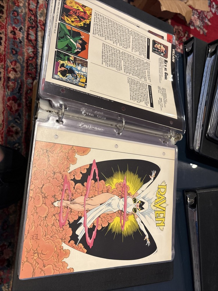 Comic Book Bio Binder