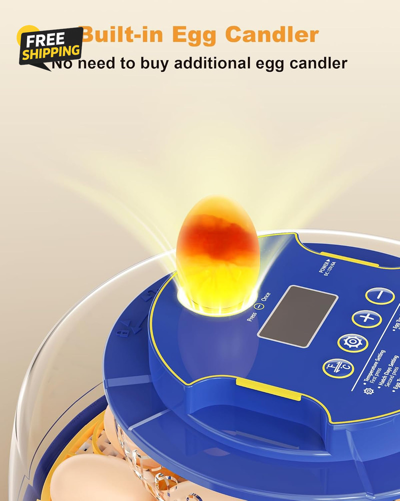 18 Chicken Egg Incubators for Hatching Eggs: Egg Incubator with Automatic Egg