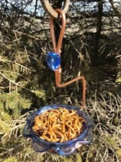 Bluebird Feeder Single