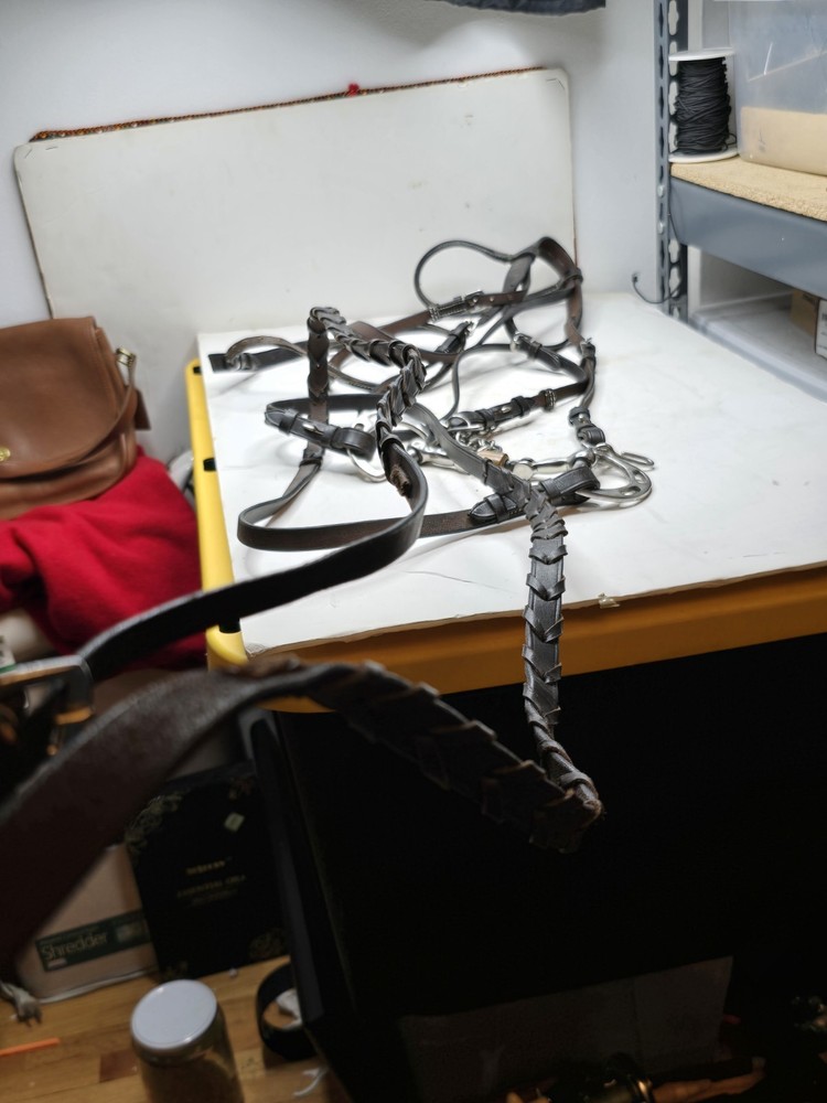 horse bridle with bit