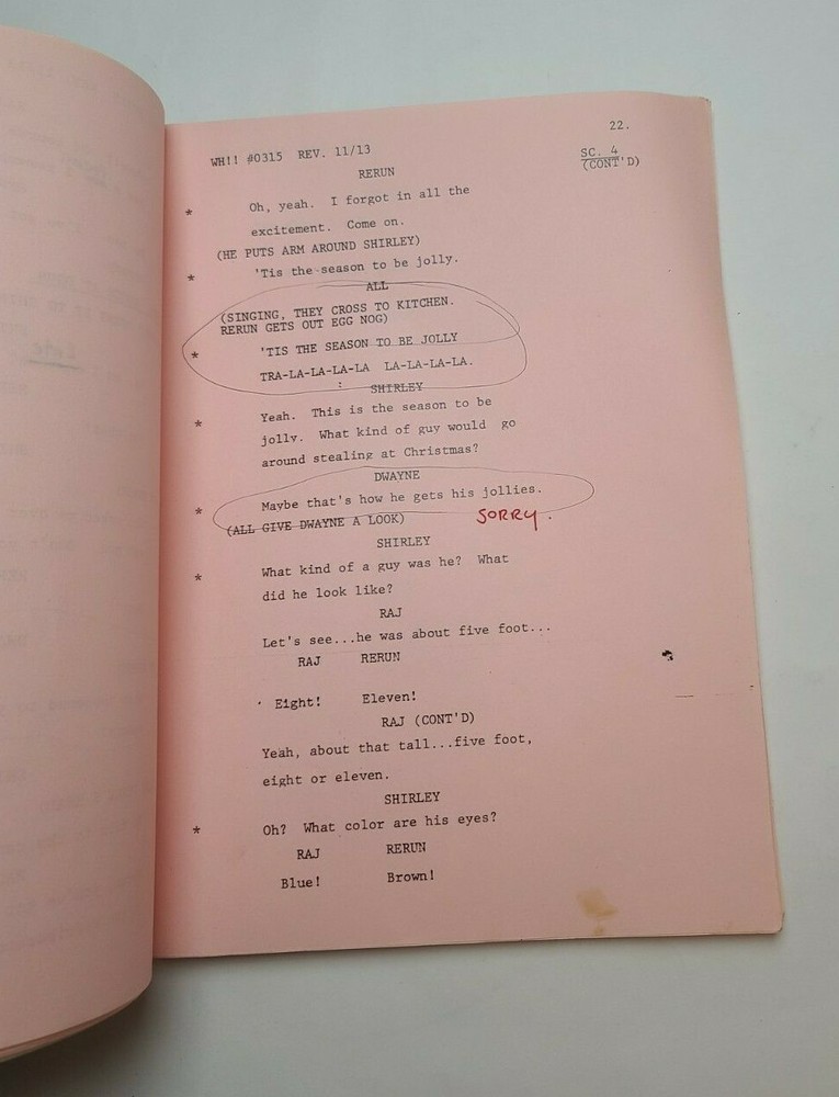 WHAT'S HAPPENING!! / 1978 TV Script, David Hollander "Positive Identification"