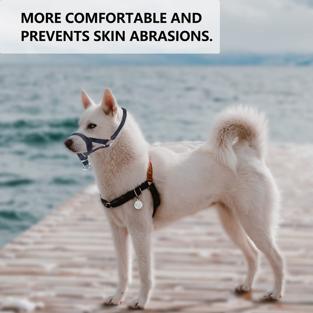 Dog Head Collar Head Collar with Fabric Padded Adjustable Training Tool Stop ...