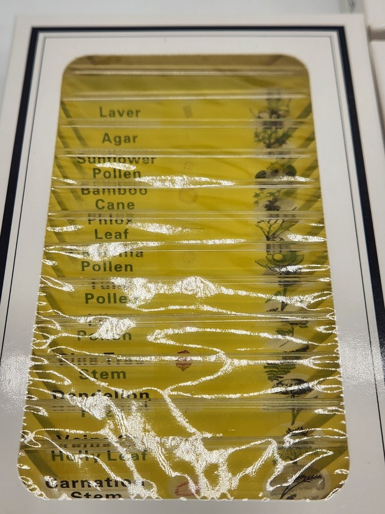 DIY-Science Prepared‎ Slides Educational Type - 48 Plastic Microscope Slides