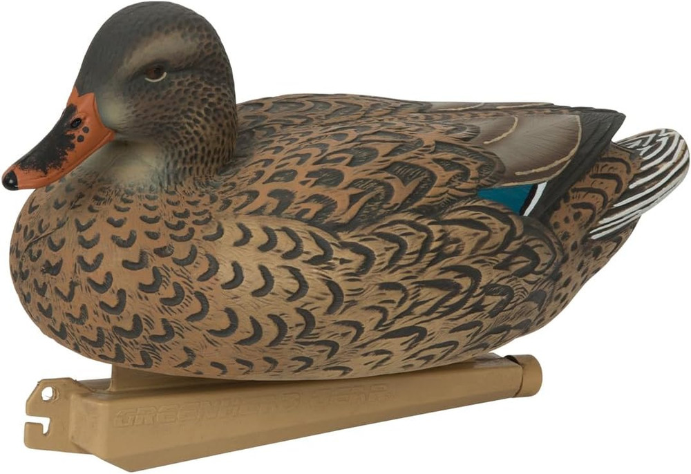 Avery GHG Essential Mallard Duck Decpus - 12 Pack