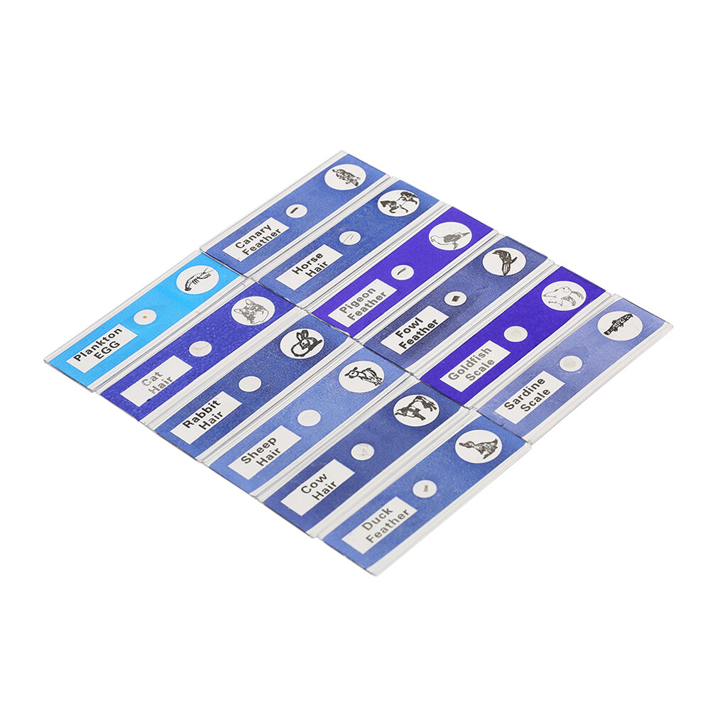 48pcs/set Prepared Microscope Slides Animals Insects Plants Sample Y4D1