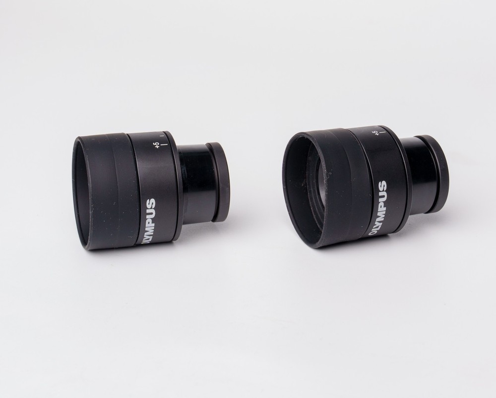 Pair Olympus 10X 20 Microscope Eyepieces 30mm