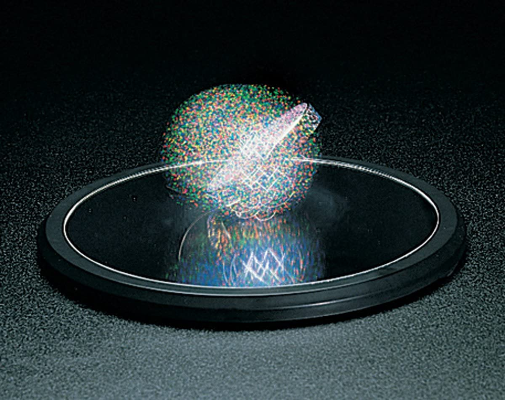 Euler'S Disk
