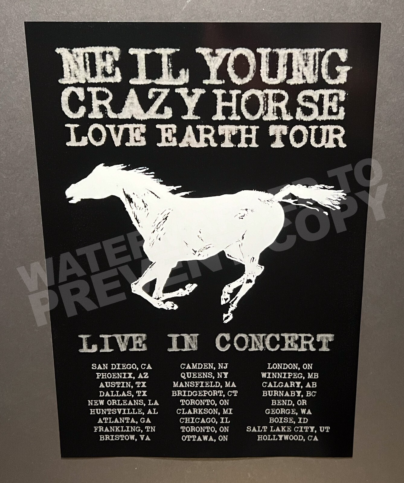 Neil Young 2024 Crazy Horse Love Earth Tour Promo Poster