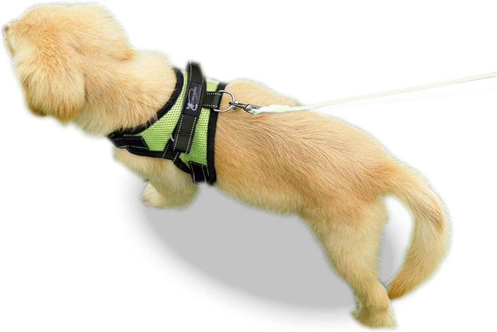 No Pull Reflective Adjustable Dog Harness with Handle- Comfortable Soft All Wea