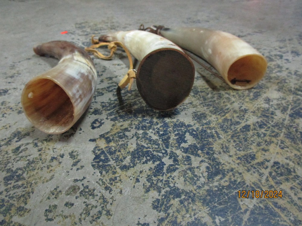 (3) 12" Black Powder Horns