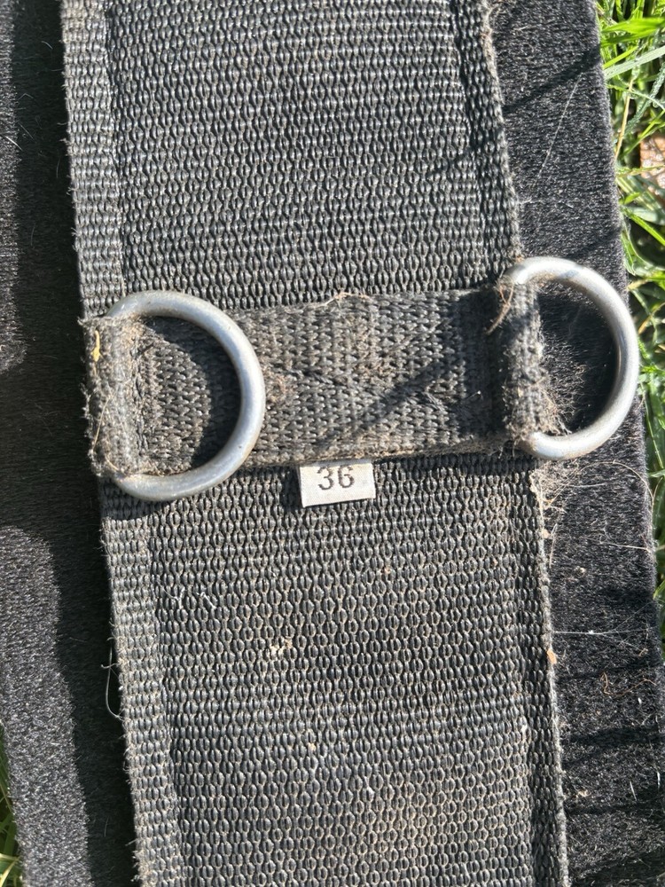 Professional Choice Western Cinch 36”