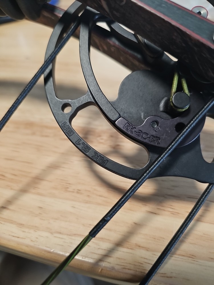 Hoyt Carbon Matrix Compound Bow