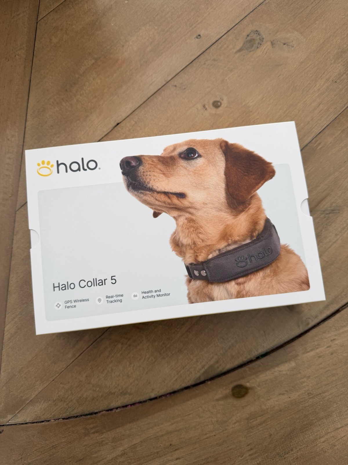 New Halo Collar 5 Wireless Dog Fence & GPS Collar Graphite
