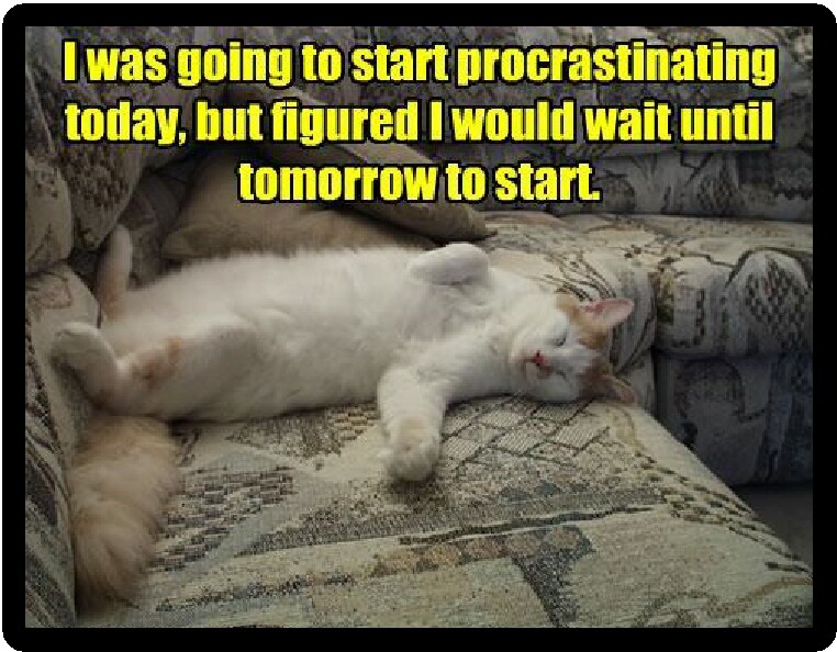 Funny Cat Procrastinating Refrigerator Magnet