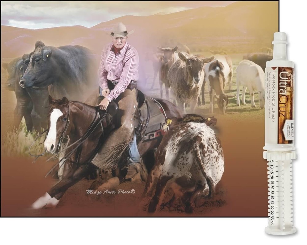 4 Day Supply Paste 60ml - Fast Relief, Easy Use, Effective Results