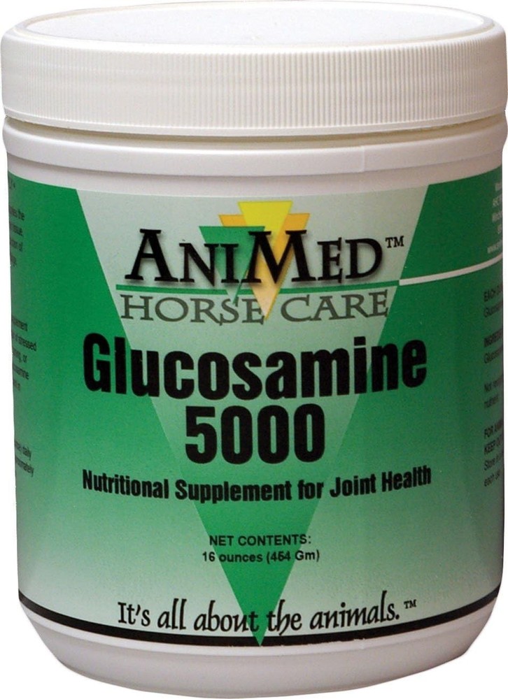 Equine Glucosamine 5000 Supplement - 16 oz for Enhanced Joint Function