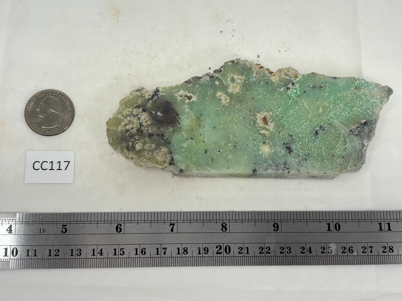 Indo Dendritic Chrysoprase Slab Cabbing Lapidary Collecting Combo Ship Avail