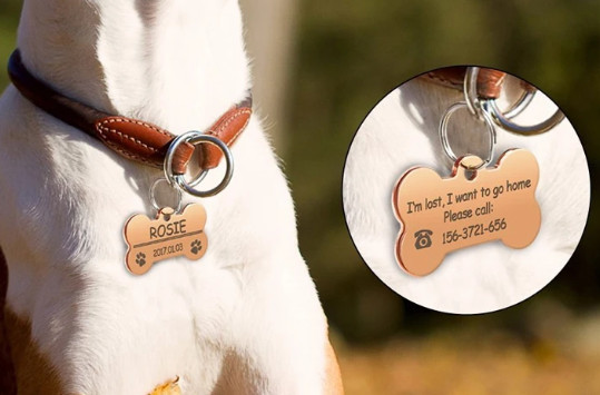 Custom Engraved Personalized Dog Pet tags Double Side Engraved ID Dog Cat Tag