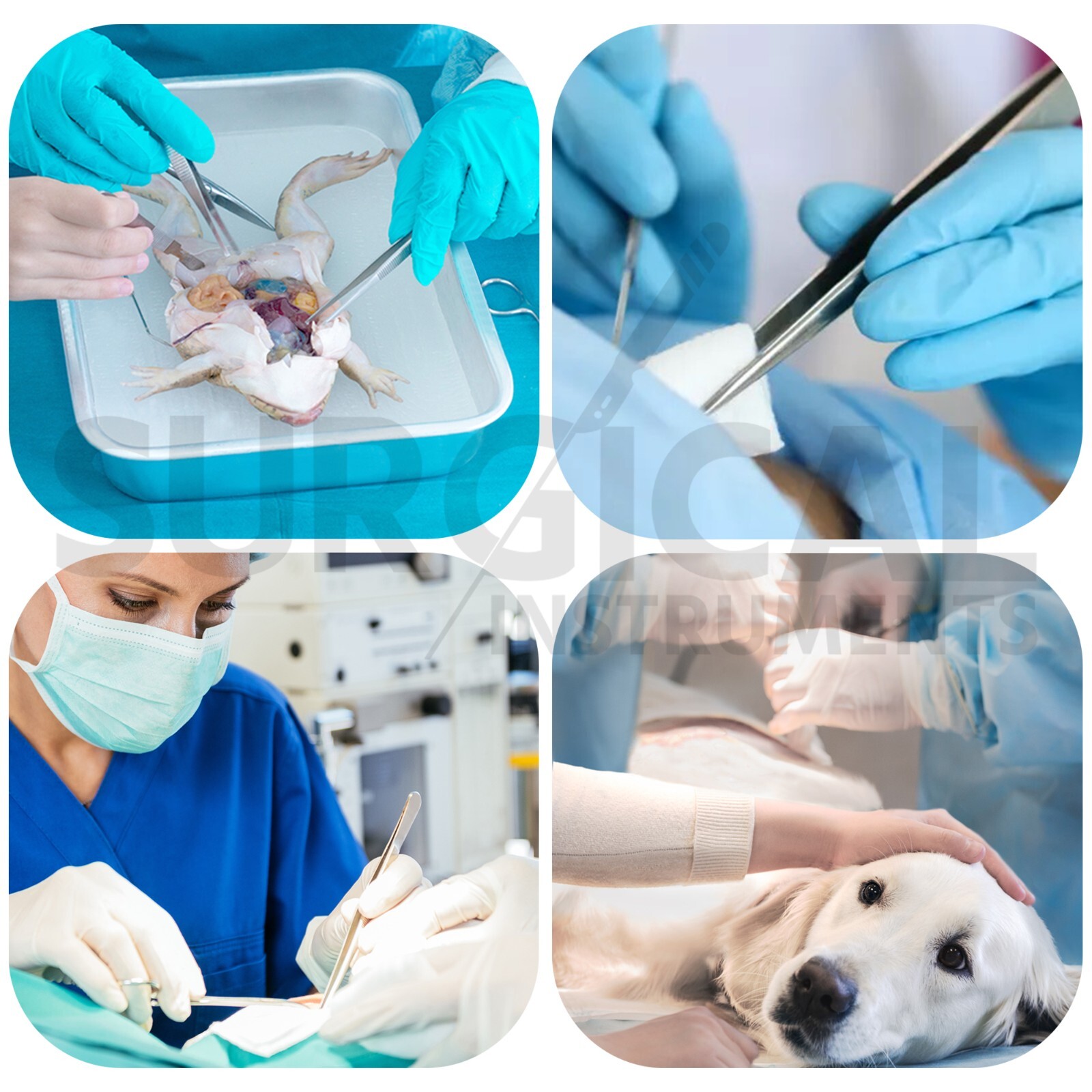 18 Pcs Minor Surgery Set Surgical Instruments Kit Stainless Steel German Grade