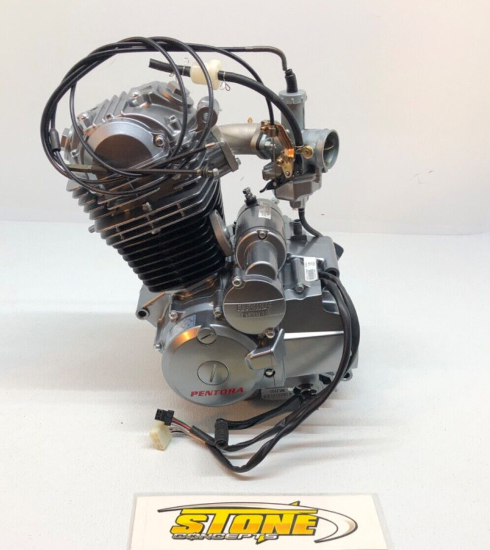 Vitacci Pentora ATV Sport 250 Complete Motor Engine 4 Stroke 250CC LC166FMM