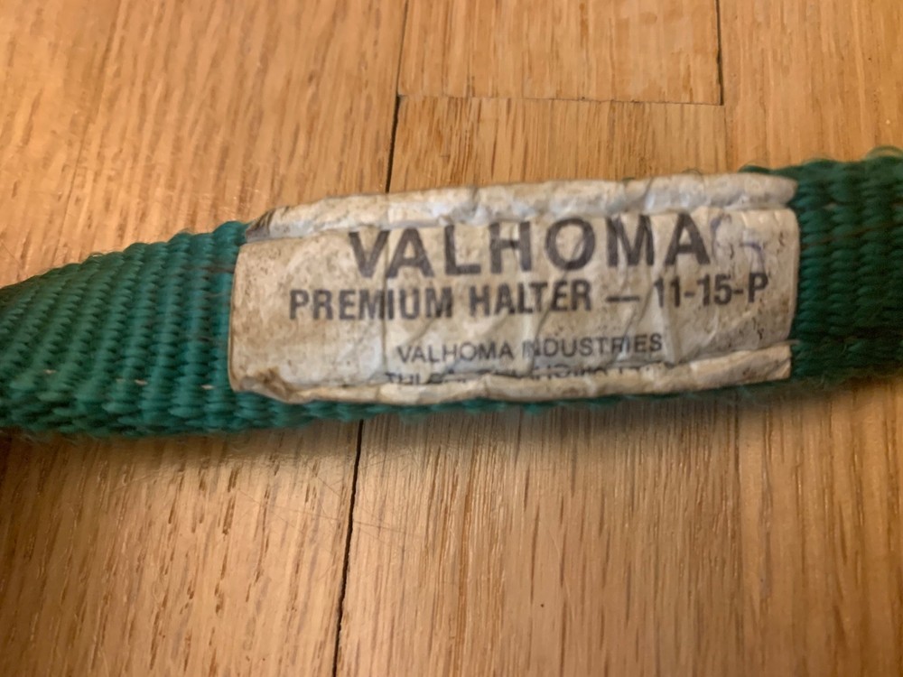 Green horse halter