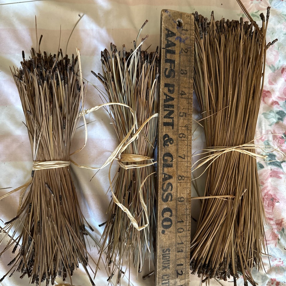 Over A Pound n Half Pine Needles Braid Coil Long Baskets Crafts Dry Tennesee