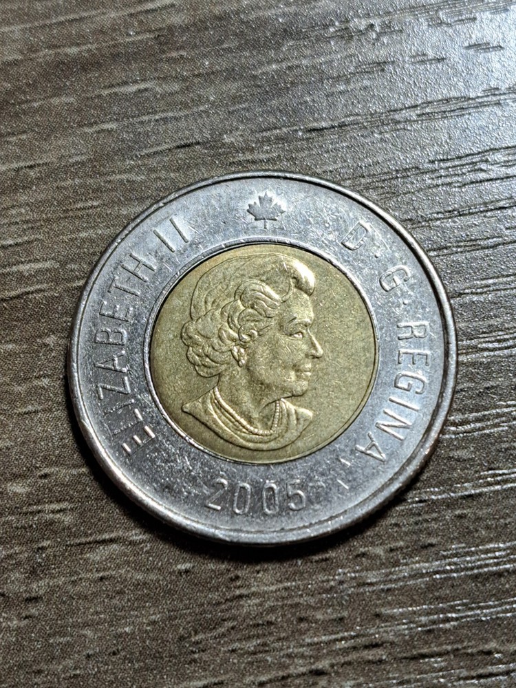 2005  CANADA 2 DOLLAR TOONIE *COMBINED SHIP