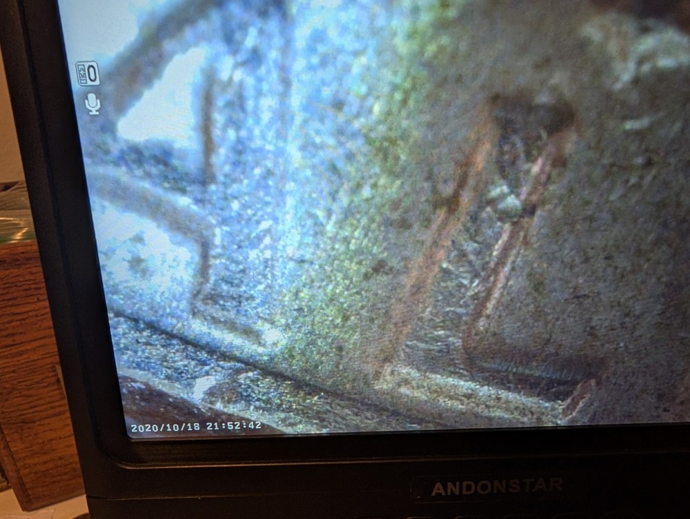 1984 D Half Dollar With Double Die Errors