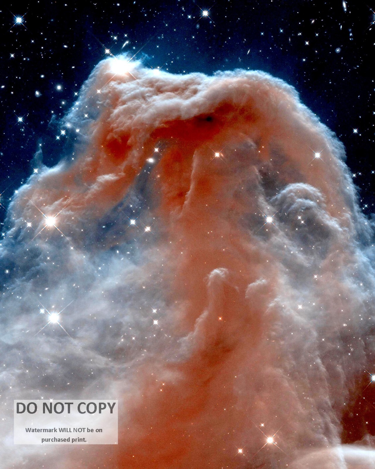 HORSEHEAD NEBULA HUBBLE SPACE TELESCOPE BARNARD 33 - 8X10 NASA PHOTO (BT-446)