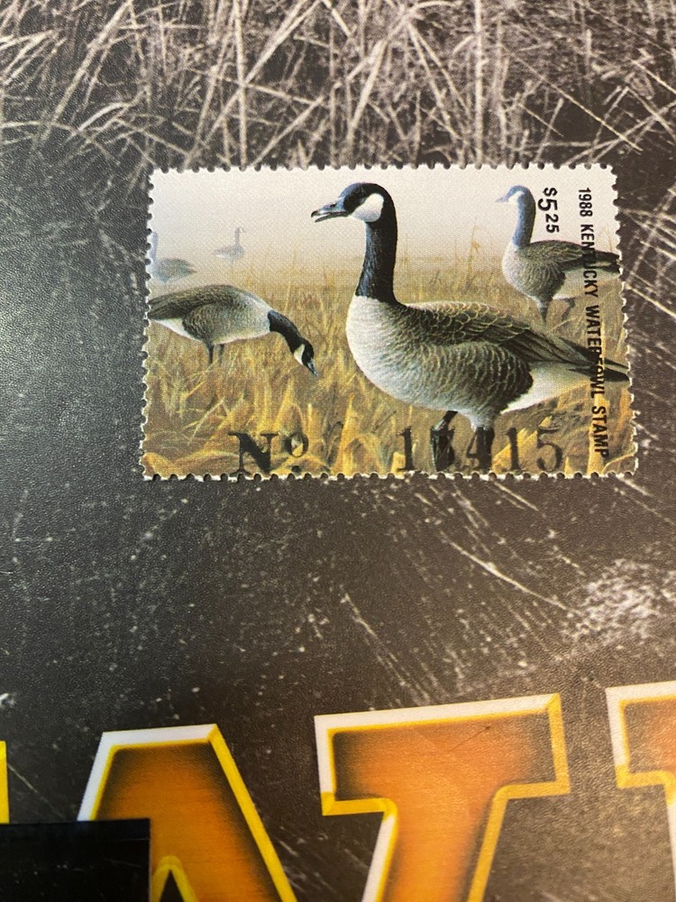 1988 Kentucky State Duck Stamp,