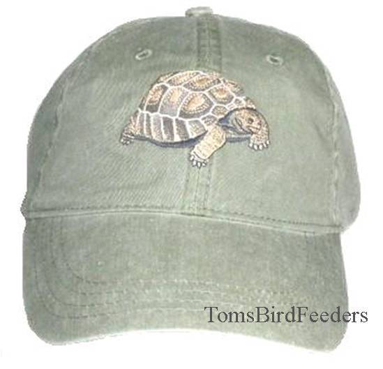 Tortoise Embroidered Cotton Cap NEW
