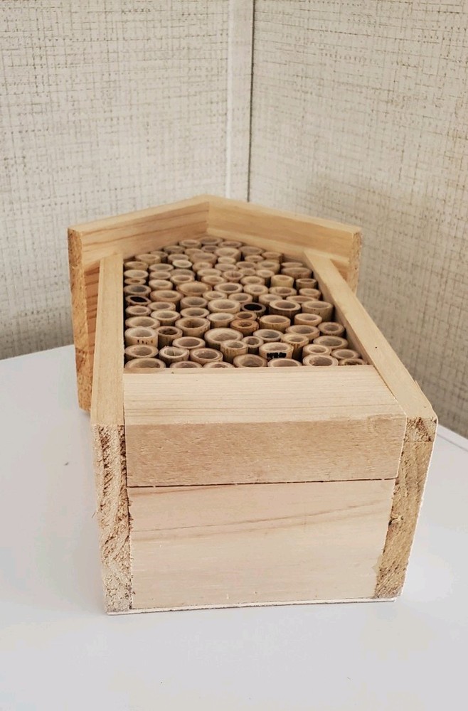 Bee House/Bug House Aldi 10in Tall