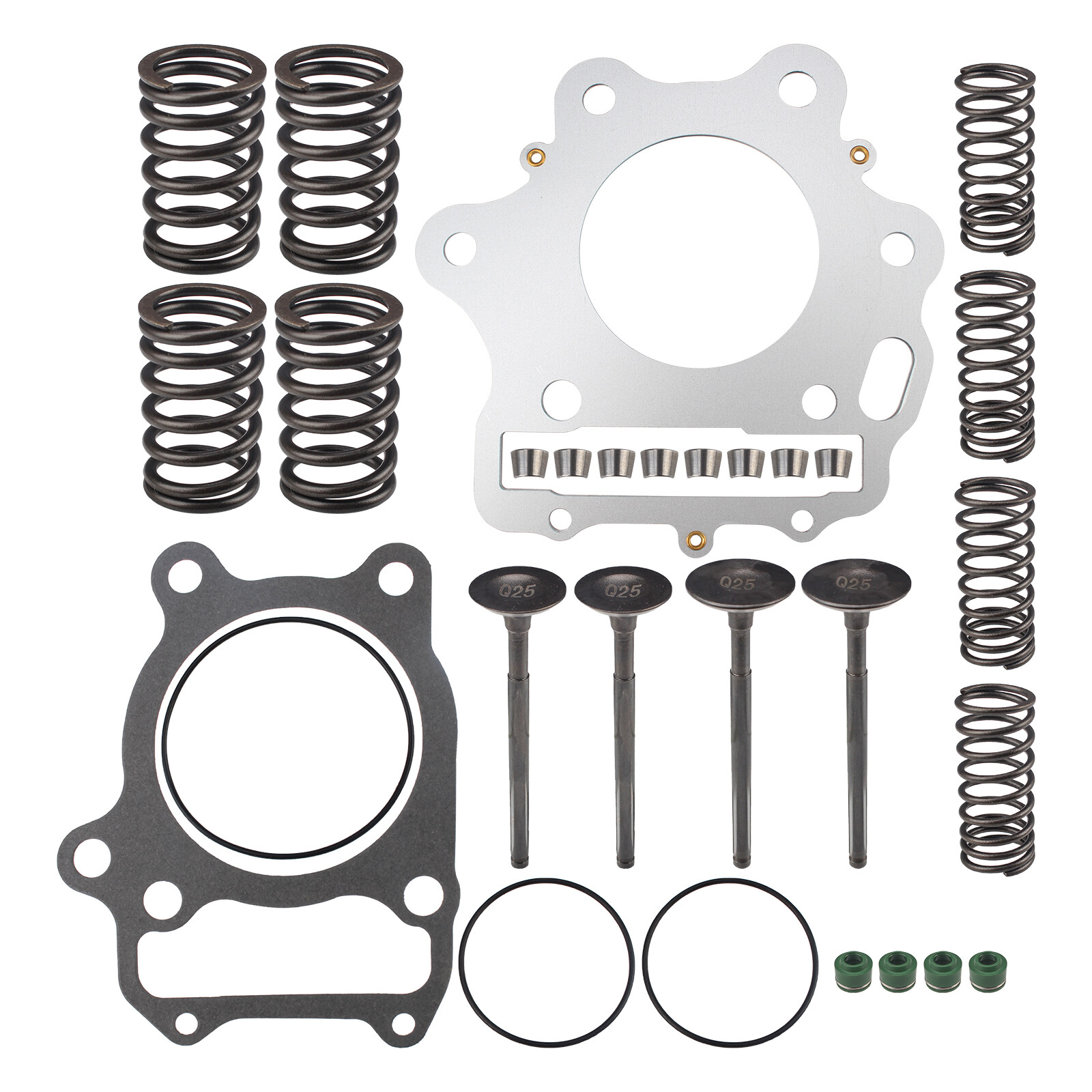 Cylinder Intake Exhaust Valve Kit for 1993-2008 Honda TRX300EX Sportrax 300 2X4