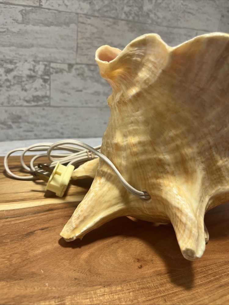Vintage Polished Conch Shell Sea Shell Lighted Mantle Table Clock - Works - EUC