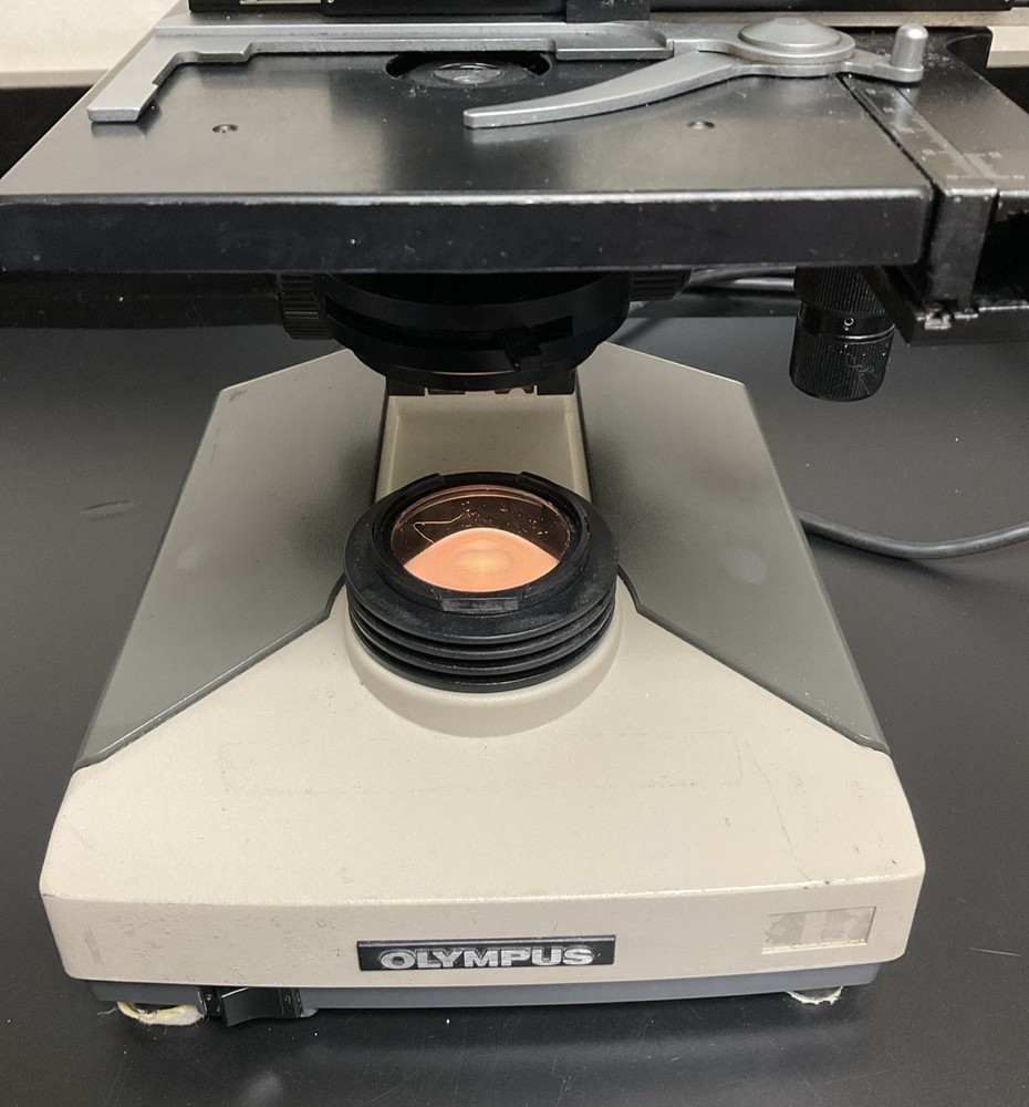 Olympus CHS Binocular Microscope | No Power Supply or Objectives