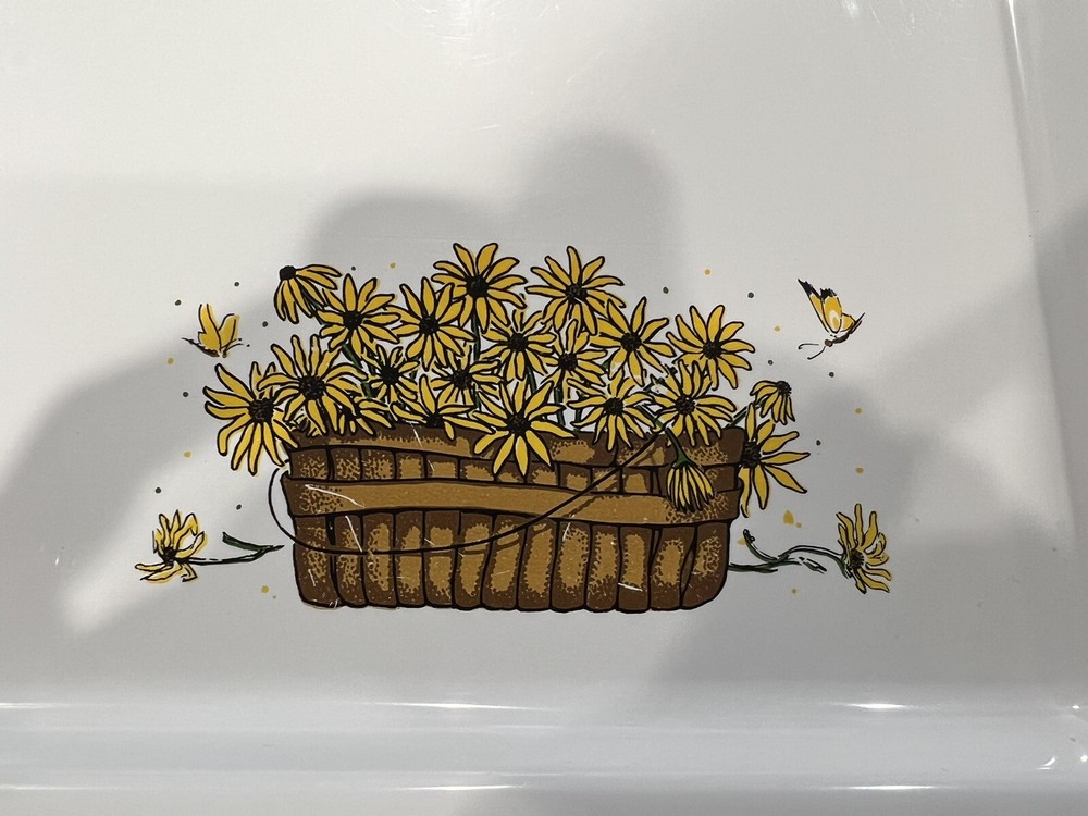 RARE Sterilite Trays-8