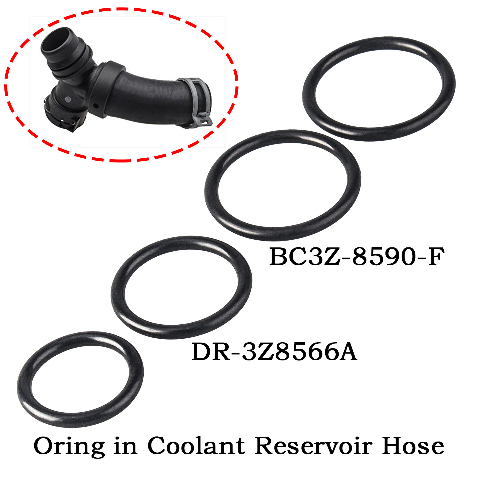 For Ford F-150 Coolant Hose Replacement O-Rings DR-3Z8566-A BC3Z-8590-F