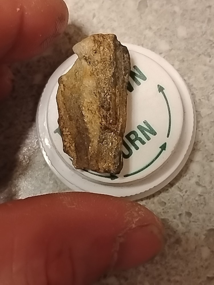 Native Gold In Quartz Vein
