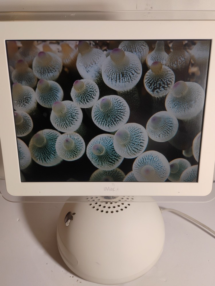 Vintage Apple iMac 2003 Computer Powers On Tested As Is
