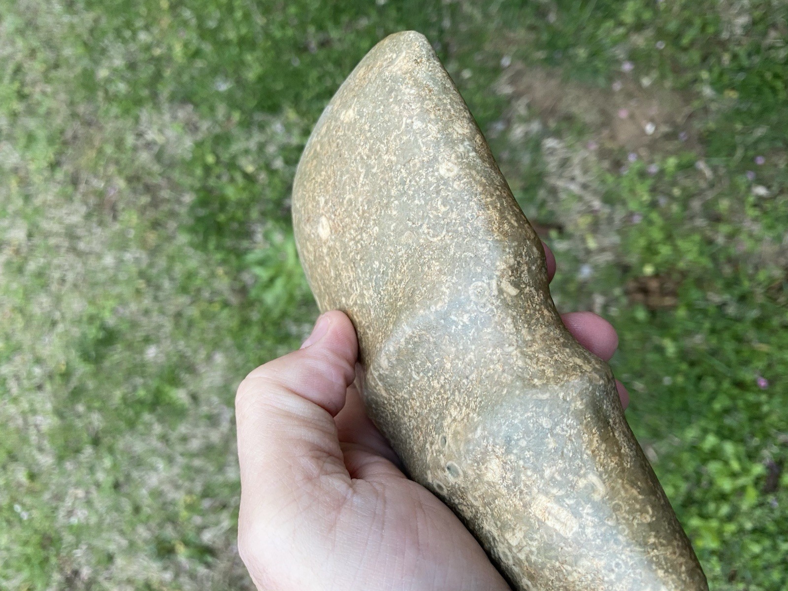 Native American Stone Axe Head