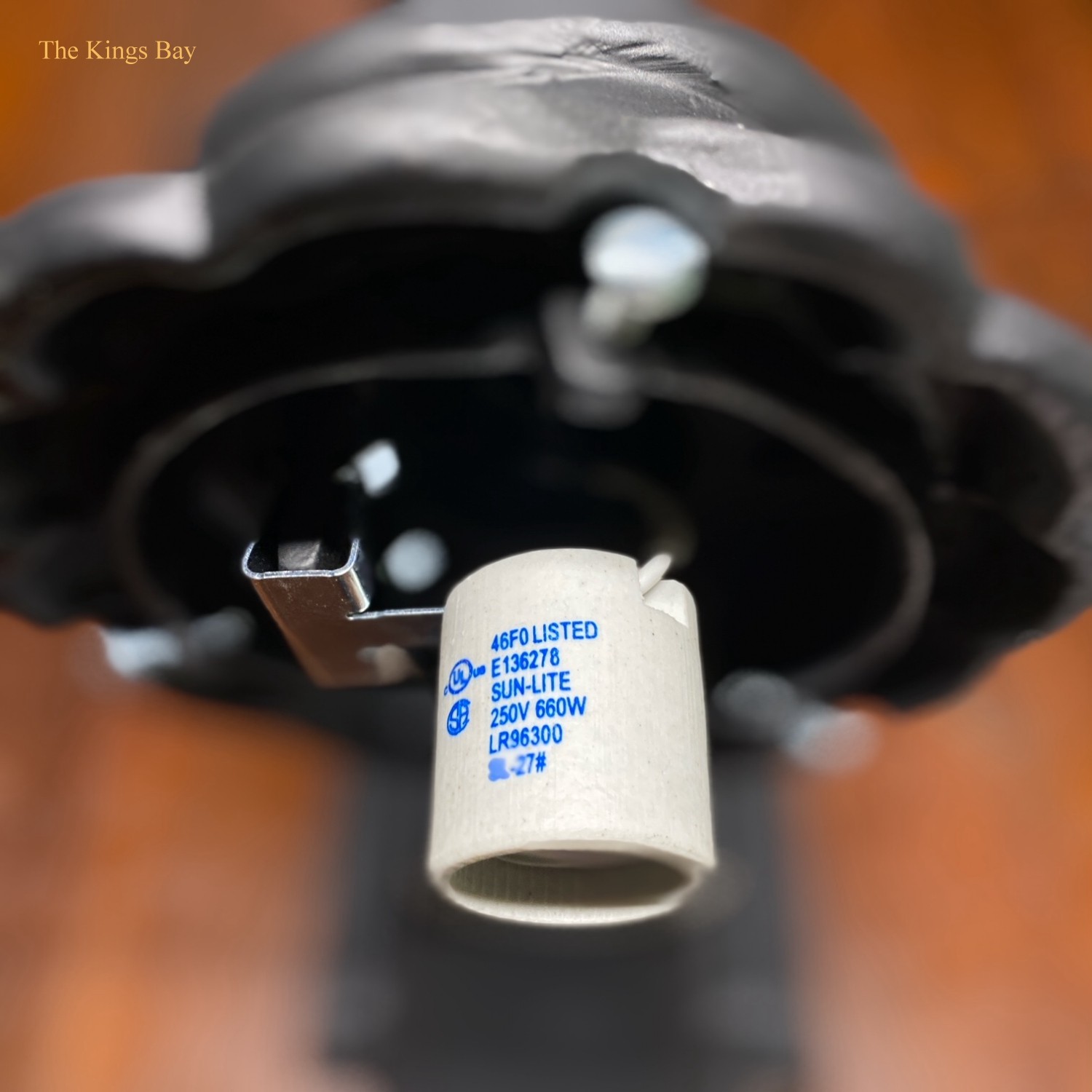 Statue of Liberty Torch Bearing ARM Wall Sconce and Shade