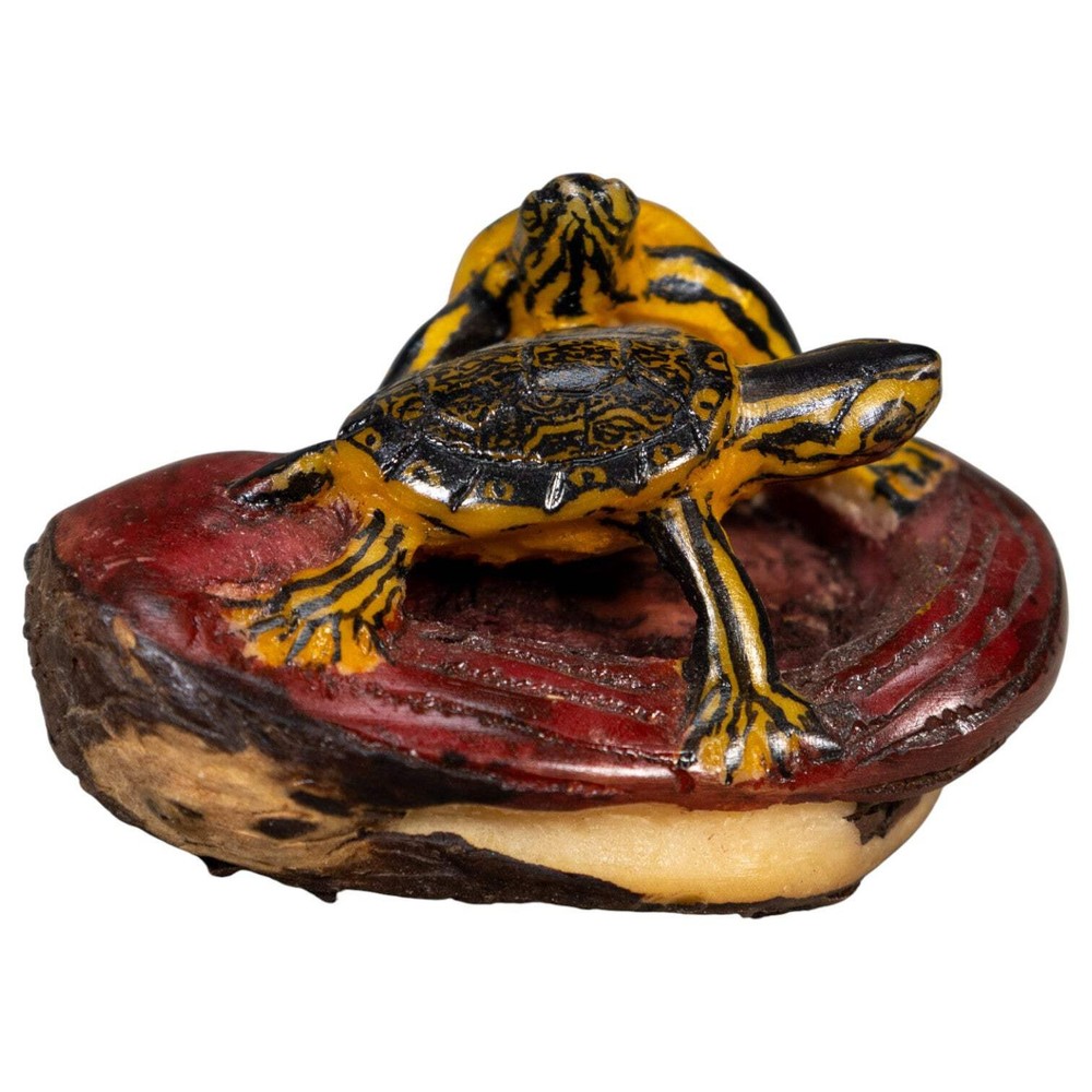 Double Turtle Tortoise Tagua Carving
