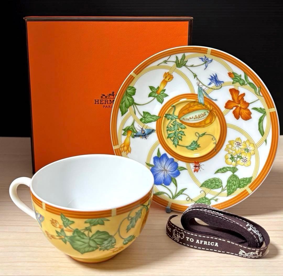 Hermes Siesta Teacup & Saucer Brand New Unused with Original Box Included