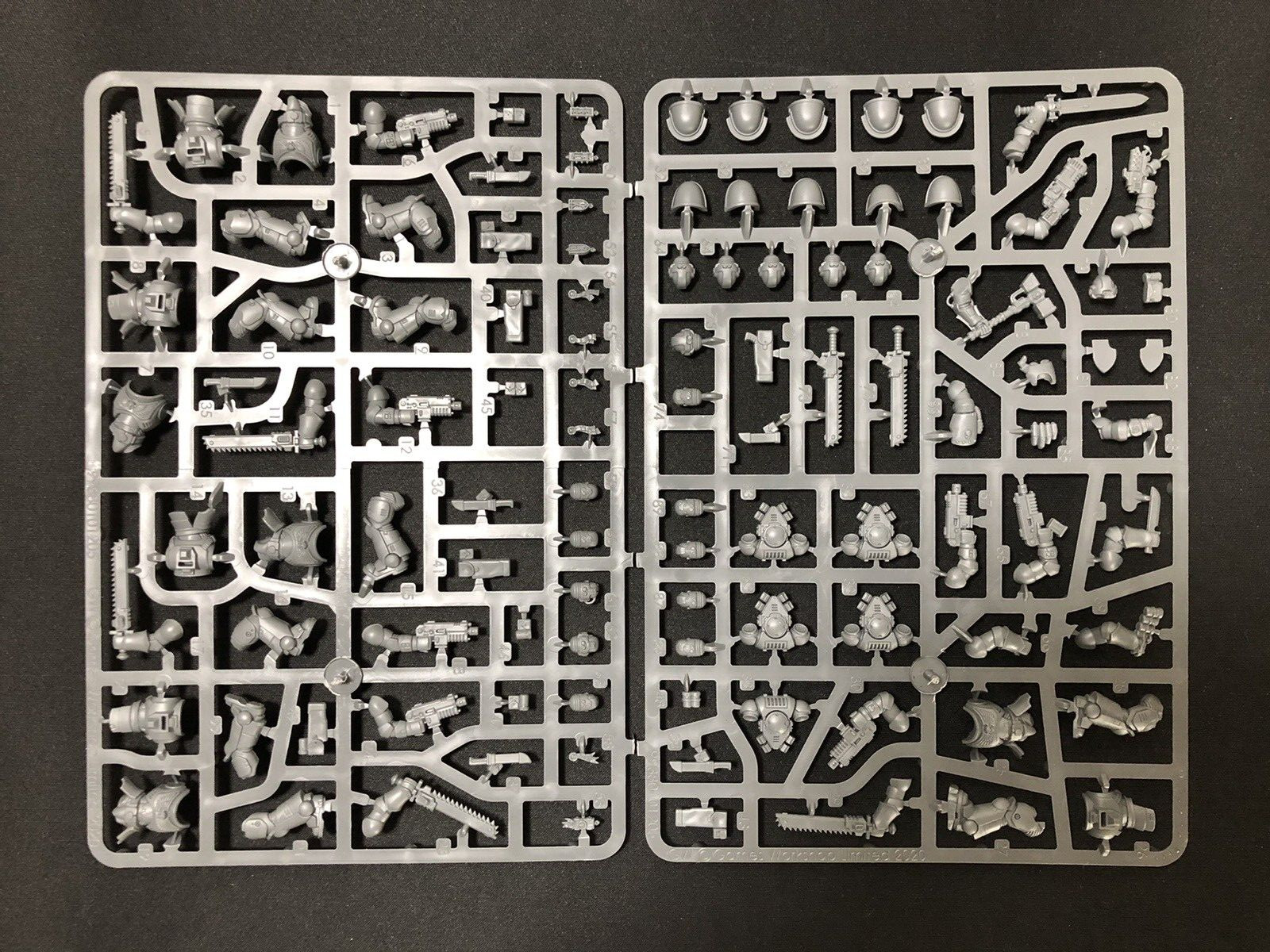 Assault Intercessors (x5) - Space Marines - Warhammer 40K - NEW ON SPRUE