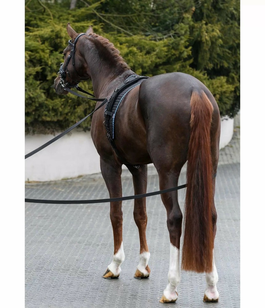 LONG TRAINING REINS - LONG TRAINING REINS